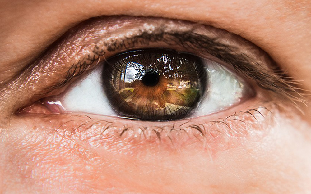 Close up of a person's eye.