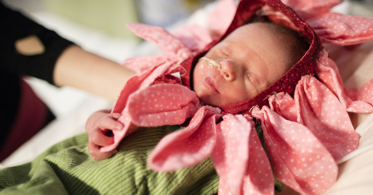 A newborn baby in a flower costume for Halloween.