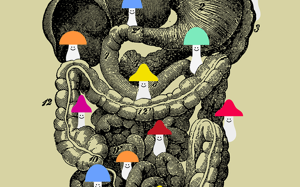 Illustration by Edmon de Haro.