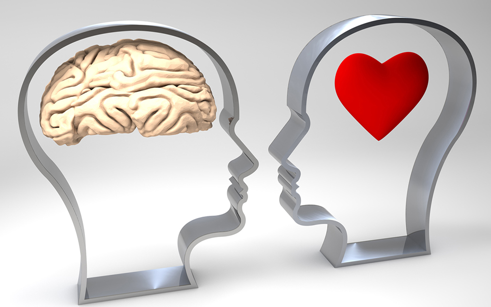 Heart and brain.